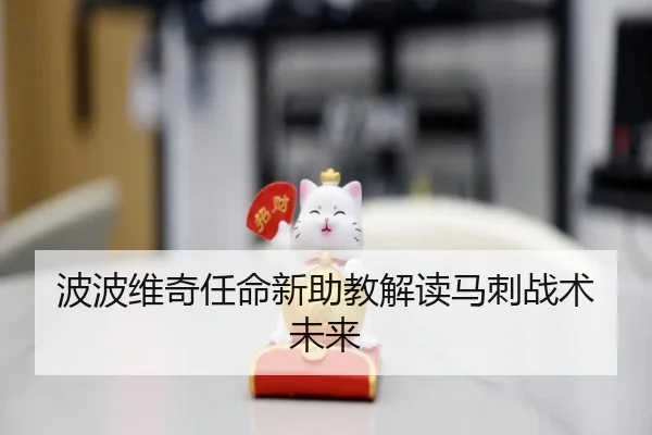 波波维奇任命新助教解读马刺战术未来